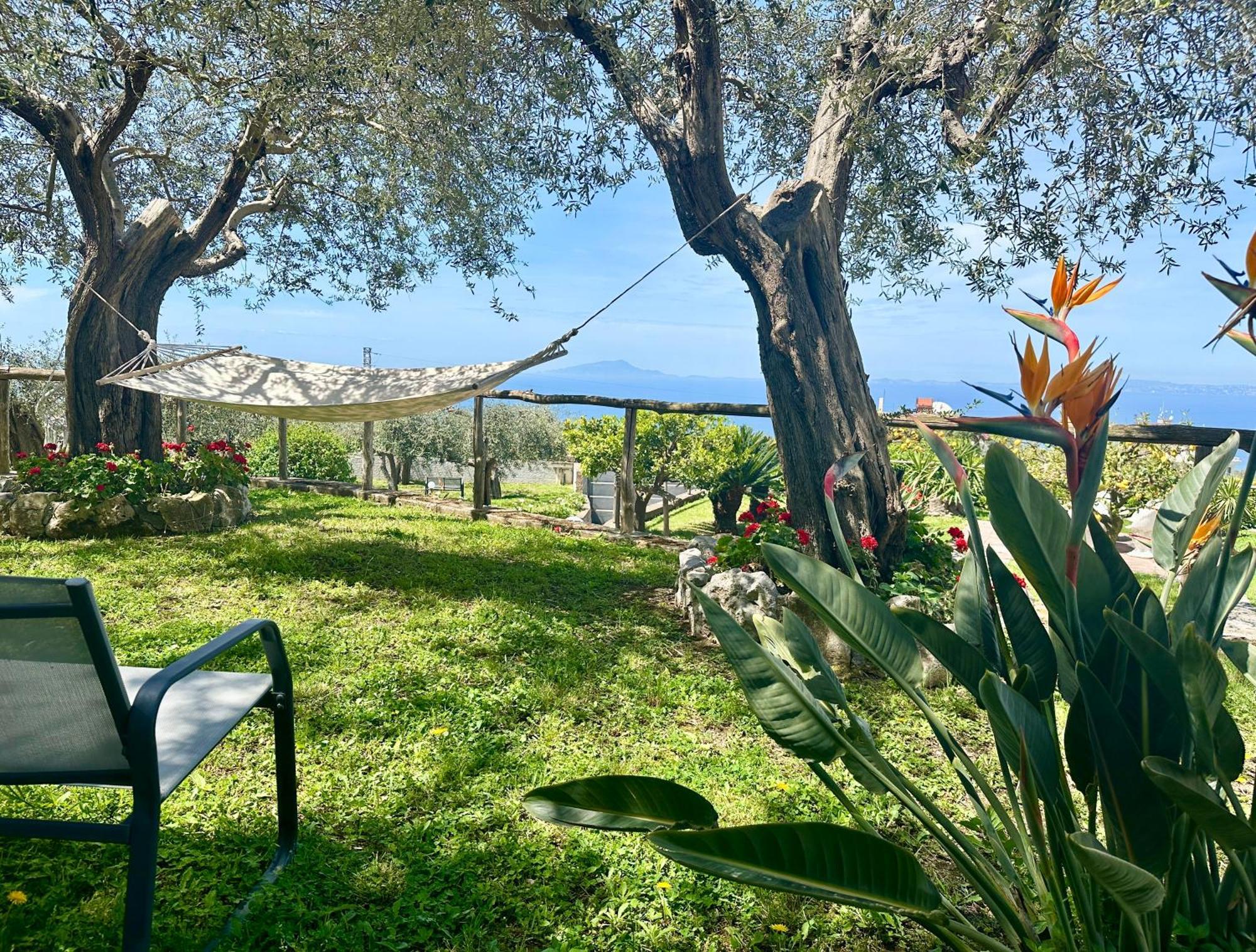 Villa Raf Vico Equense Eksteriør billede